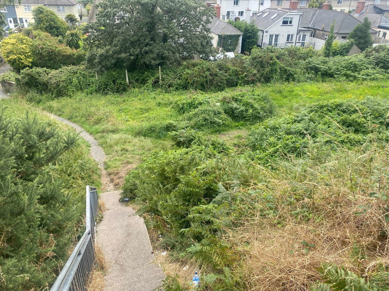 Young man’s body (20s) discovered on patch of waste ground in Wexford ...