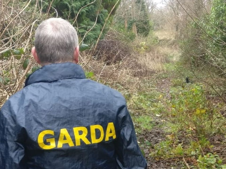 Gardai carried out searches of houses and forestry lands