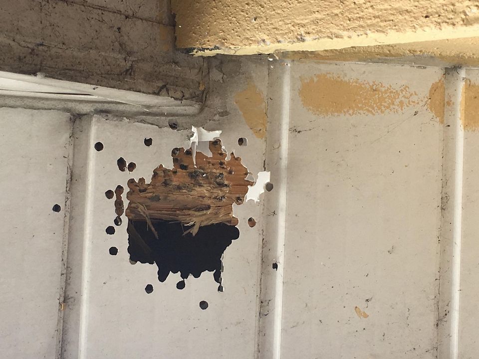 Bullet holes in the house attacked by Larry O'Connor. Picture: David Raleigh