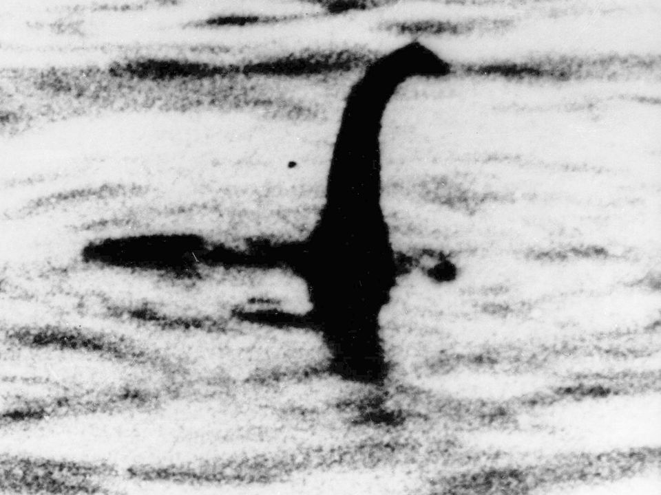 Grainy images and witness accounts over the years suggested the existence of a beast with a long neck and small head similar to a plesiosaur. Photo: AP
