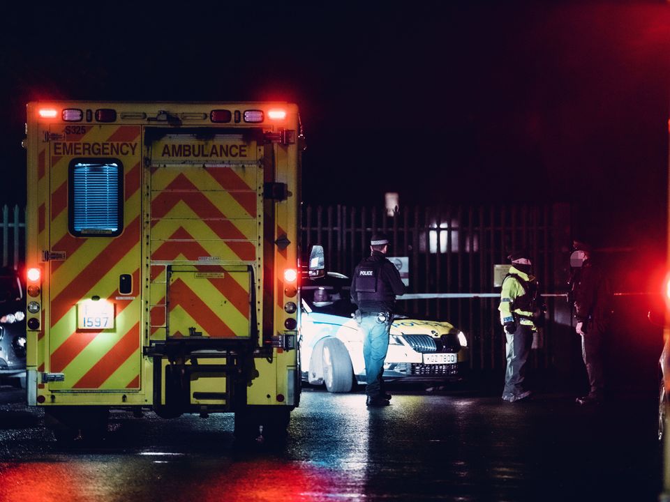 Police at the scene in Lord Lurgan Park last night (Photo by Kevin Scott for Belfast Telegraph)