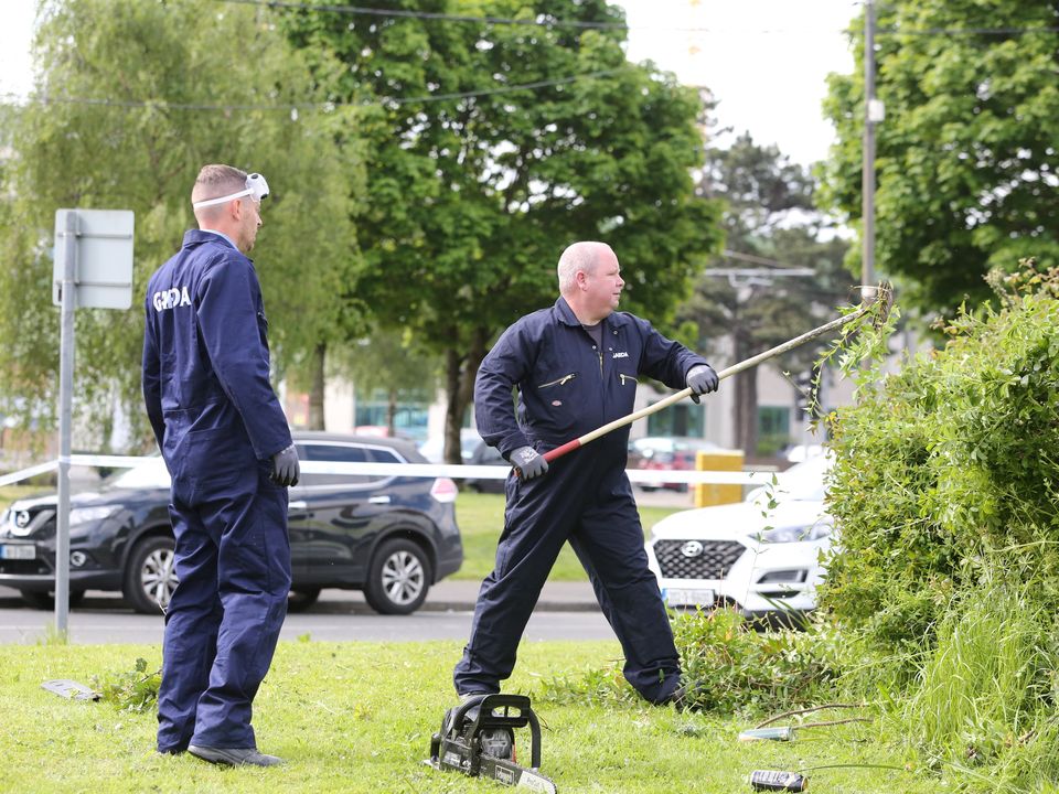 Gardai at the scene of the brutal attack near Bluebell Luas stop