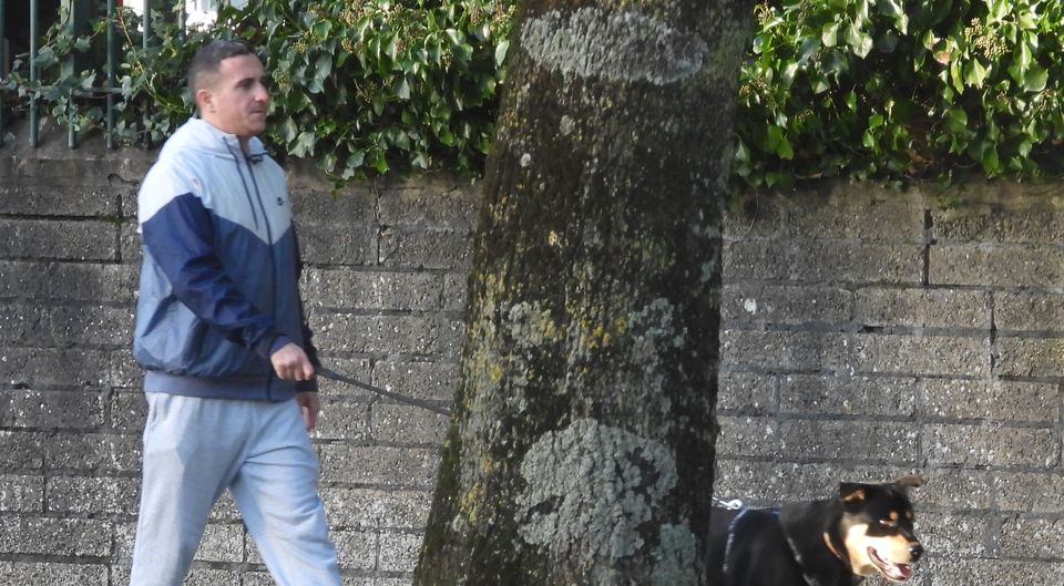 Ian Horgan smiles as he walks his dog