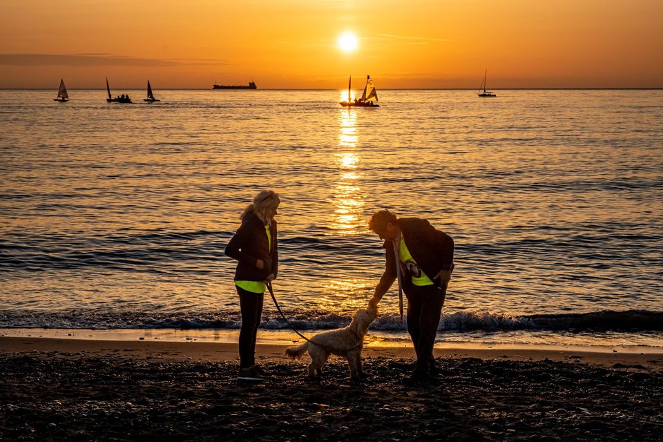 Charlie and Claire Bird with Tiger. Photo: Leigh Anderson