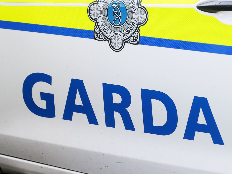 A stock picture of the Garda logo. (Niall Carson/PA Wire)