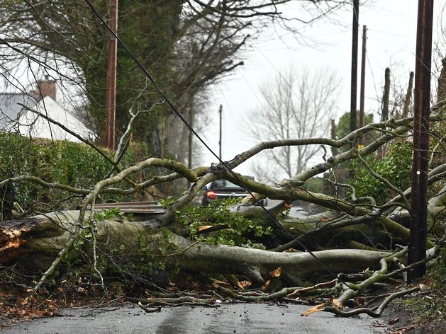 David Campbell: Homeless man avoids jail over break-in for Storm Éowyn shelter