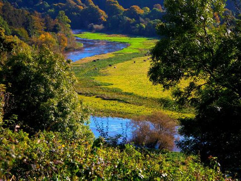 The youngsters tried to swim across the treacherous River Boyne