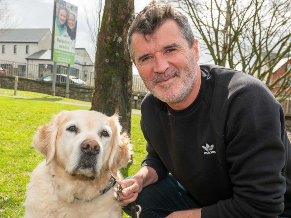 Roy Keane with a guide dog