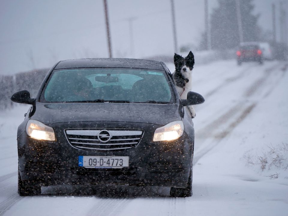 A dog looks out of a car window at the wintry conditions in Killeshin, Co. Laois. Picture: PA