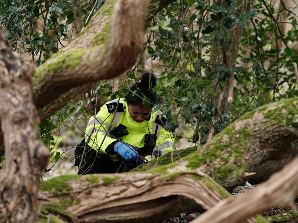 A police officer searching in woodland at Wild Park Local Nature Reserve, near Moulsecoomb, Brighton. Picture date: Wednesday March 1, 2023.