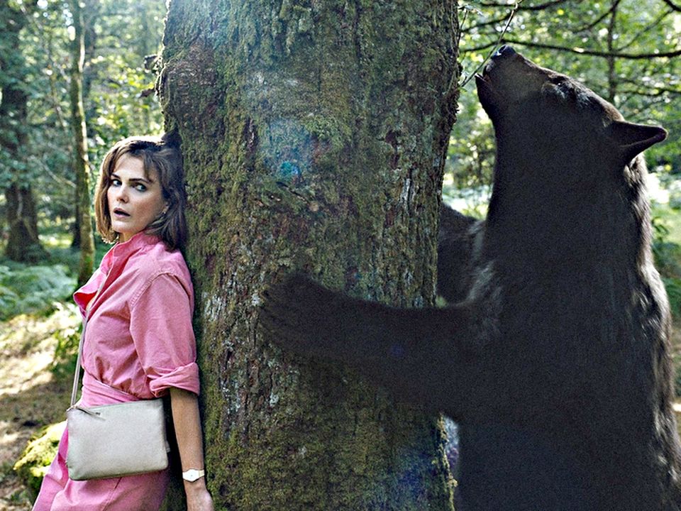 The tale of Cocaine Bear, loosely based on a true story, was filmed in Ireland