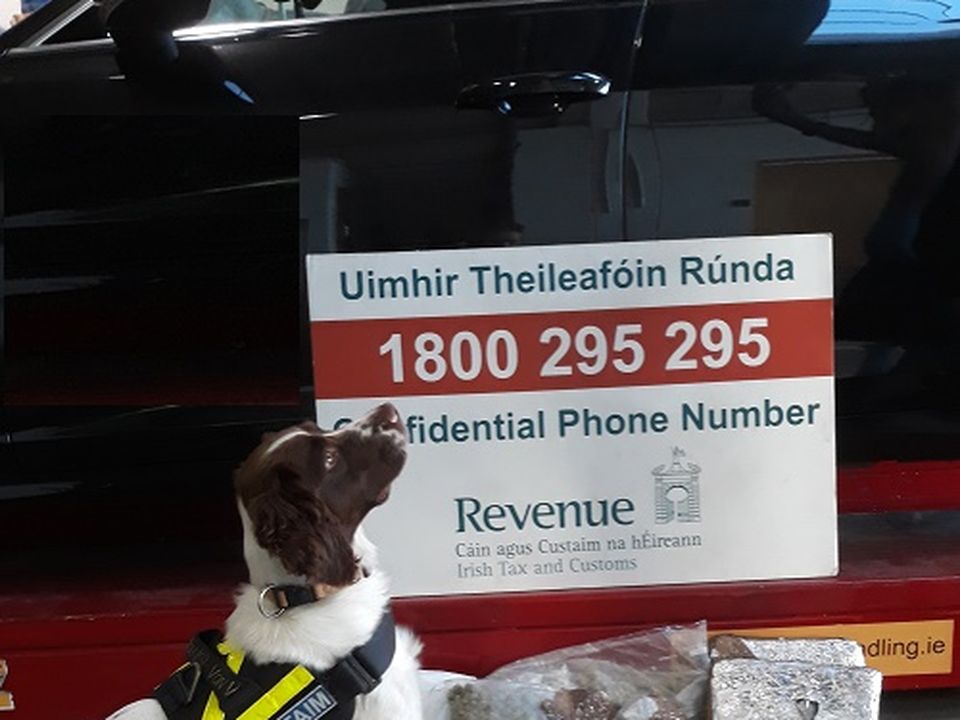 Alfie the Revenue detector dog at the seizure at Dublin Port.