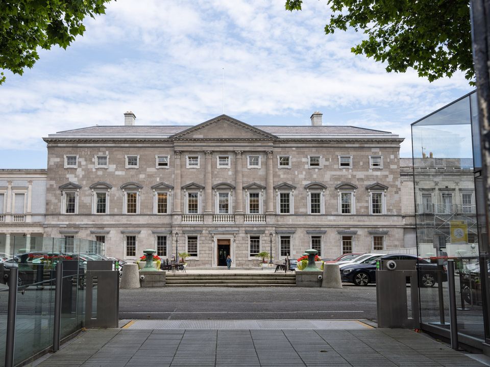 The Dáil Committee on Parliamentary Privileges and Oversight signed off on the request for official documents. Photo: Karl McManus