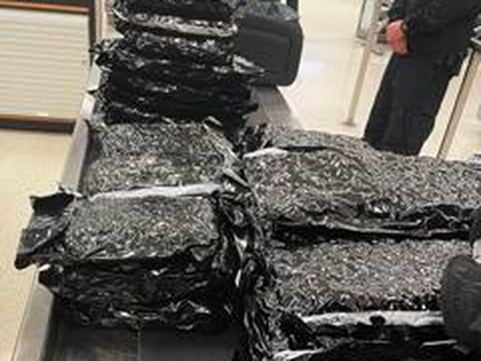 Marijuana seized at the Philadelphia airport. Photo Credit: US Customs & Border Protection