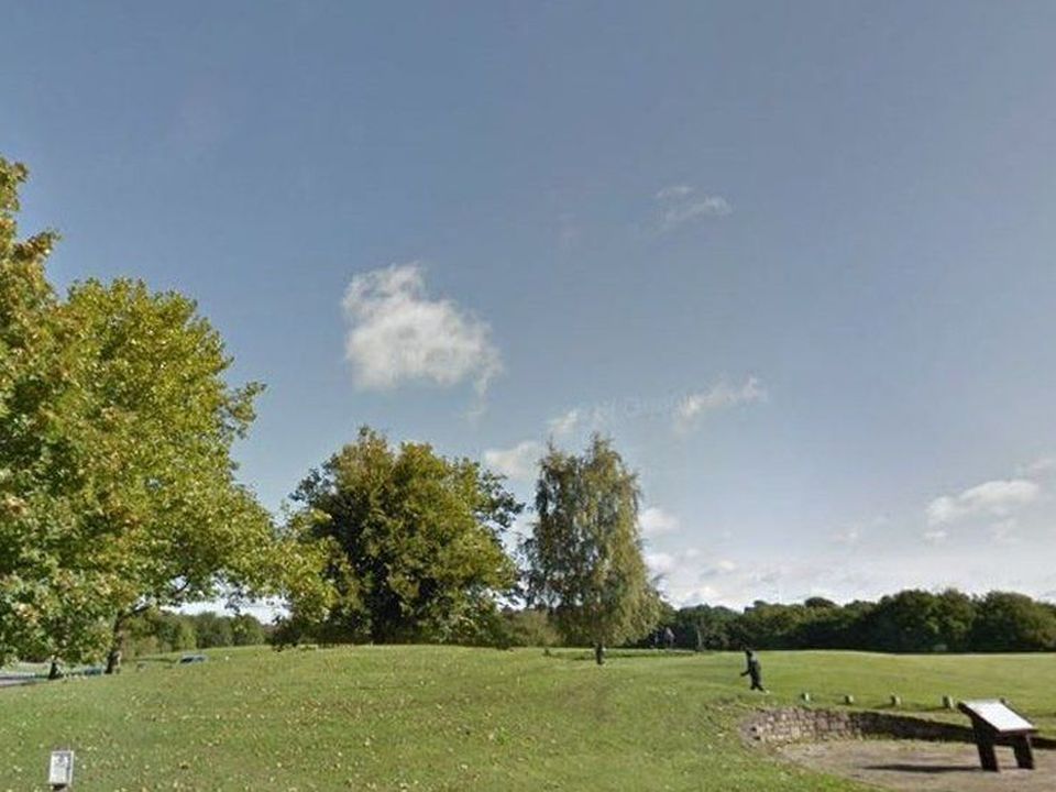 The boy was found injured in Shipley Country Park on 18 June and died later that day. Photo: Google