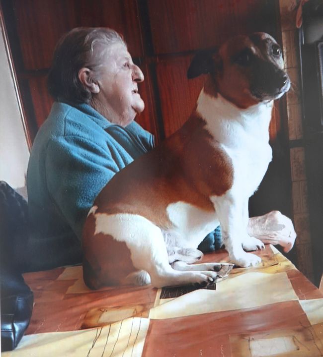 Chrissie Treacy with her Jack Russell dog Bradley, which disappeared