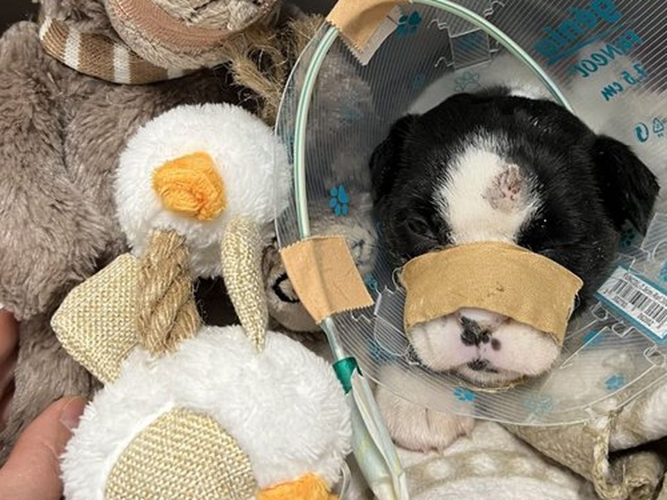 Sebastiana passed away on Sunday evening