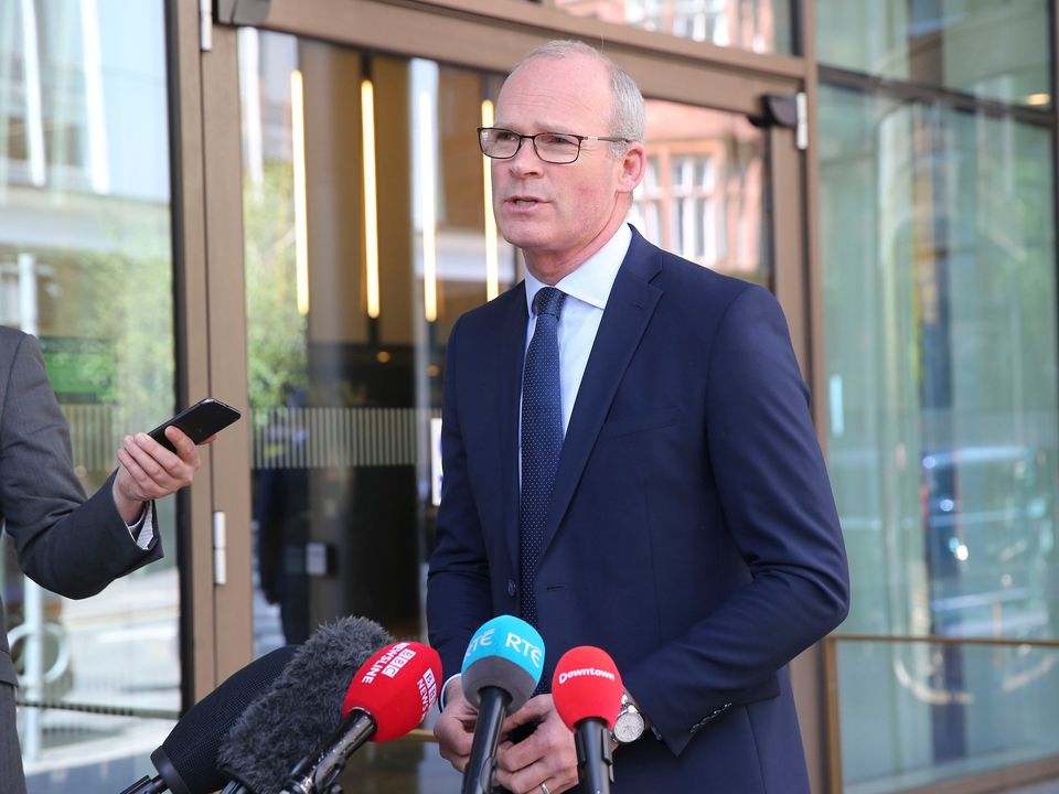 Foreign Affairs Minister Simon Coveney