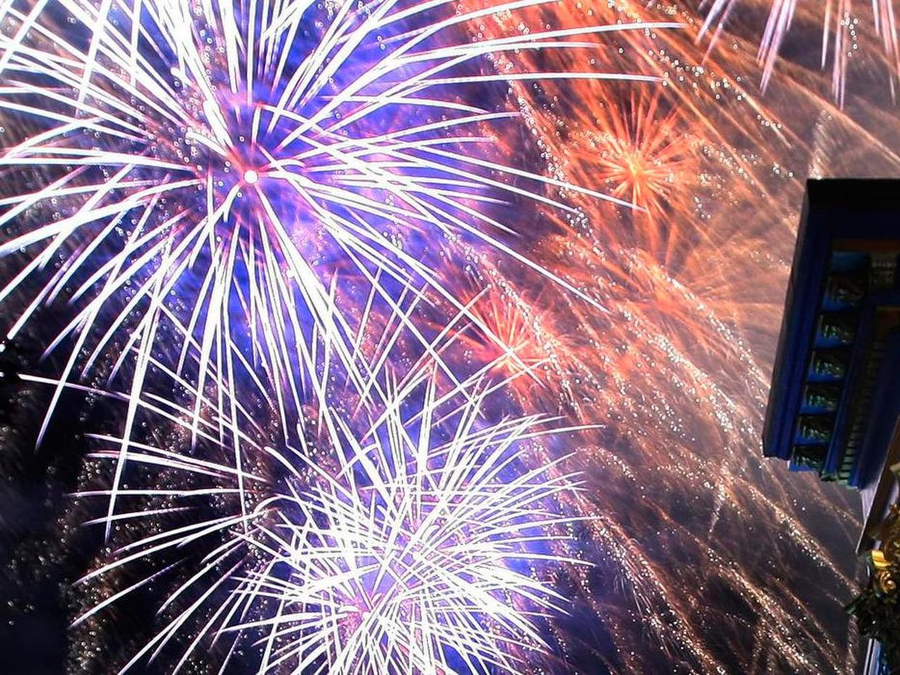 Dublin councillor Deirdre Heney calls for fireworks displays ban