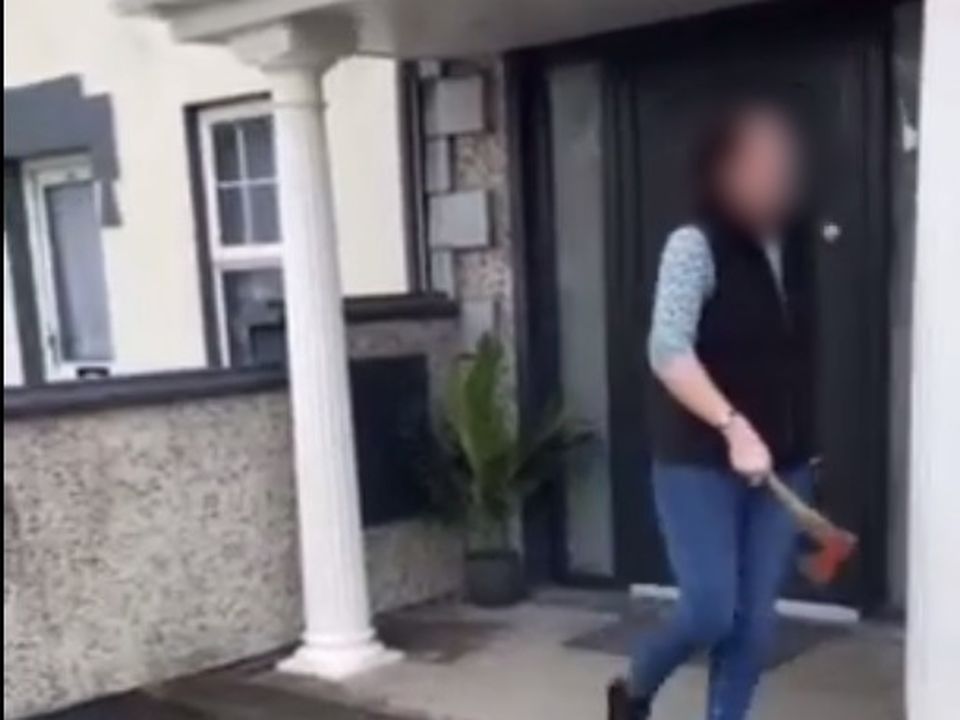 The woman was filmed smashing up a house in Co Limerick
