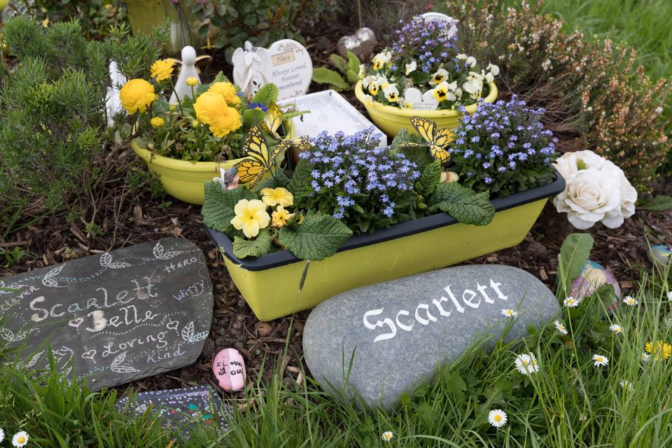 Scarlett's grave