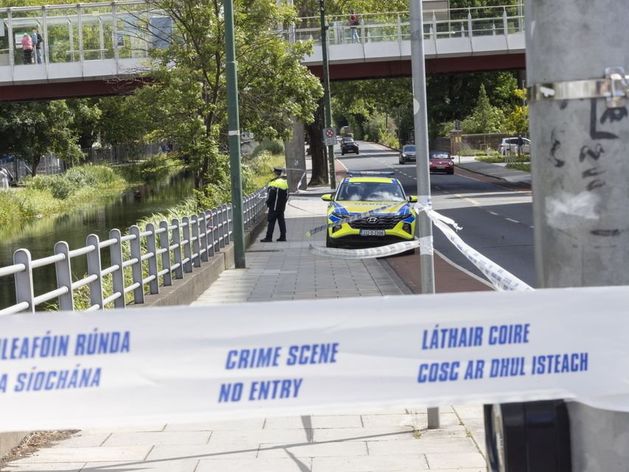 Men who died in tragic double drowning at Dublin’s Grand Canal named locally