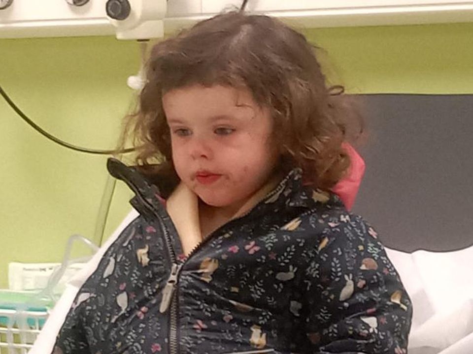 Holly Lewis (3) in hospital after she was struck while at a local park on Good Friday