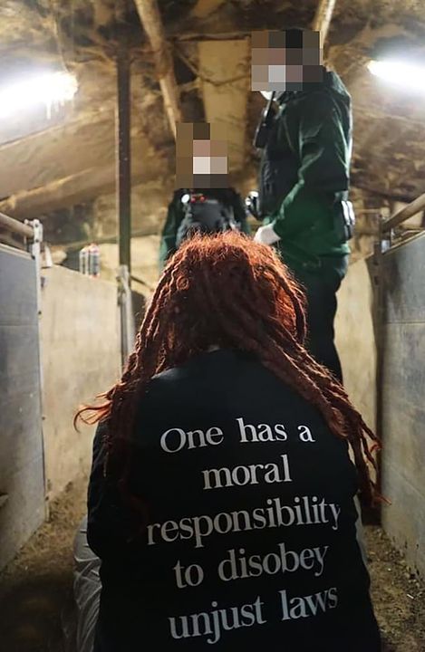 Animal rights activists Tuesday Gotti Single mother-of-one Tuesday Gotti wearing a  hoodie reading the words of Martin Luther King: 'One has a moral responsibility to disobey unjust laws' during a protest at a pig farm