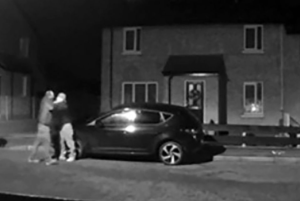 Screen shot from the street fight
