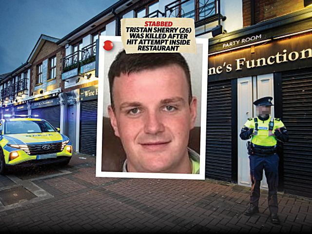 Second arrest over murder of Dublin gunman Tristan Sherry in Browne’s ...