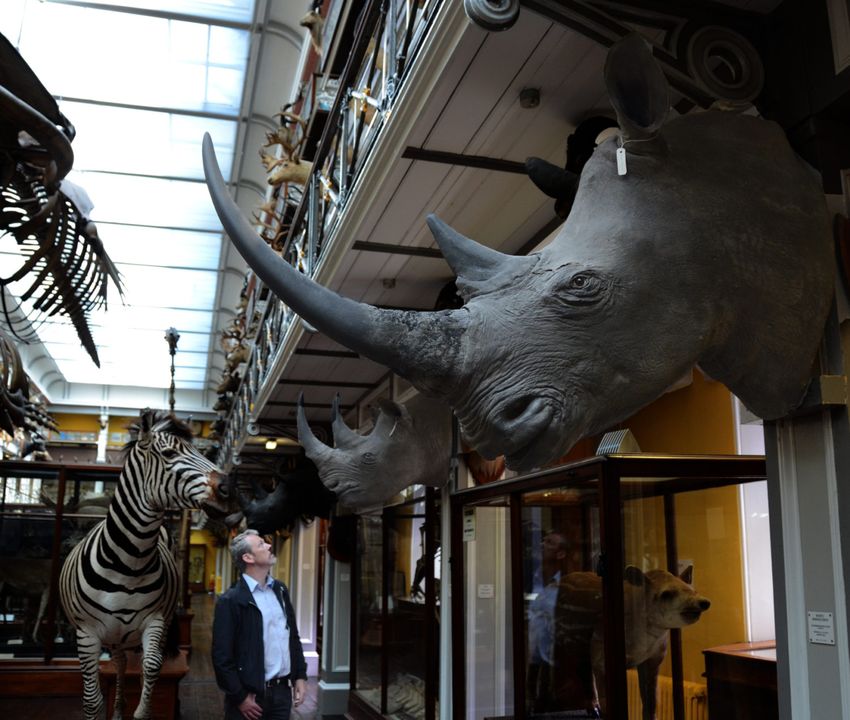 Photo taken at The Natural History Museum, Merrion Street, Dublin