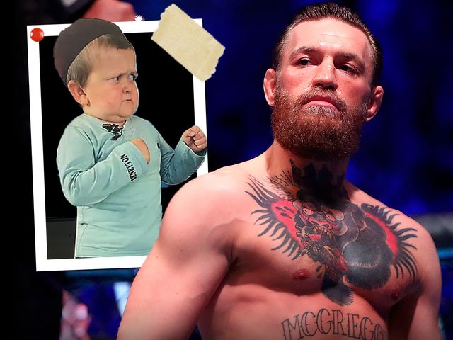 UFC star Conor McGregor calls internet sensation Hasbulla a 'gimp' who he wants to kick over a goal post - SundayWorld.com