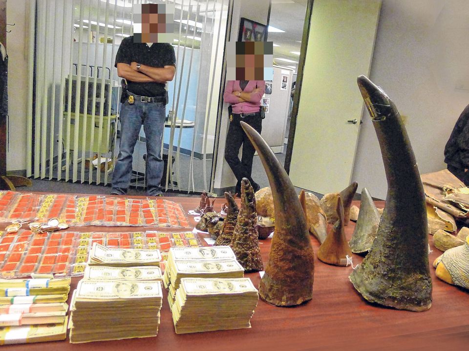 Some of the Dead Zoo items seized by agents in raids