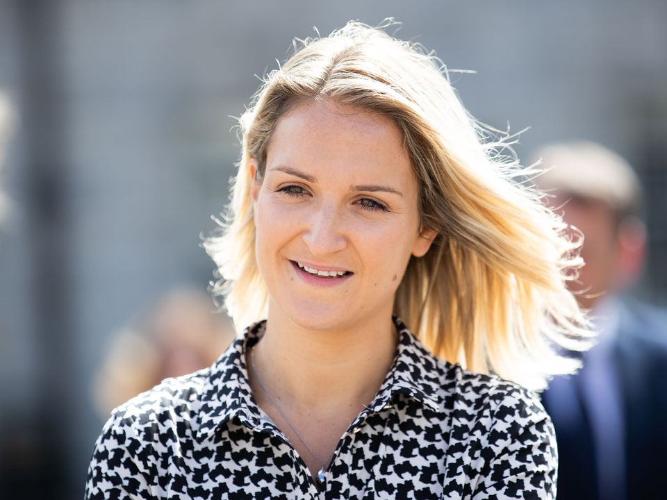 Fionnán Sheahan: Forcing Helen McEntee to resign for having a baby