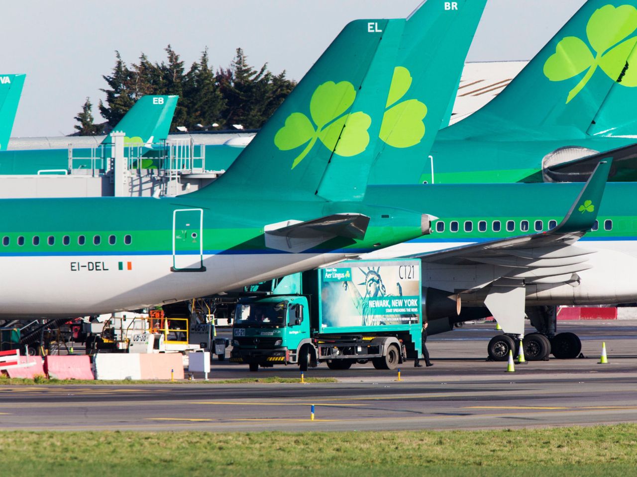 Aer Lingus sues passenger over accident on flight