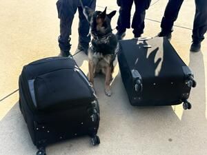 The marijuana was discovered in suitcases. Photo Credit: US Customs & Border Protection