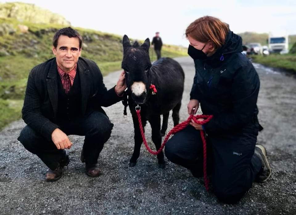 Colin Farrell on set with Jenny the Donkey