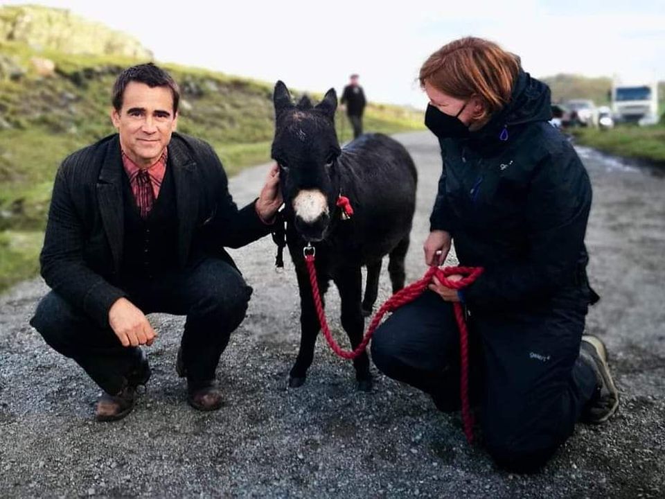 Colin Farrell on set with Jenny the Donkey