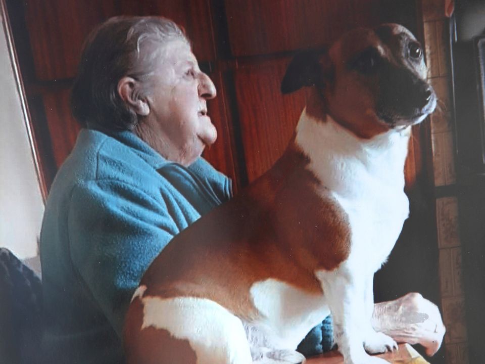 Chrissie Treacy with her Jack Russell dog Bradley, which disappeared
