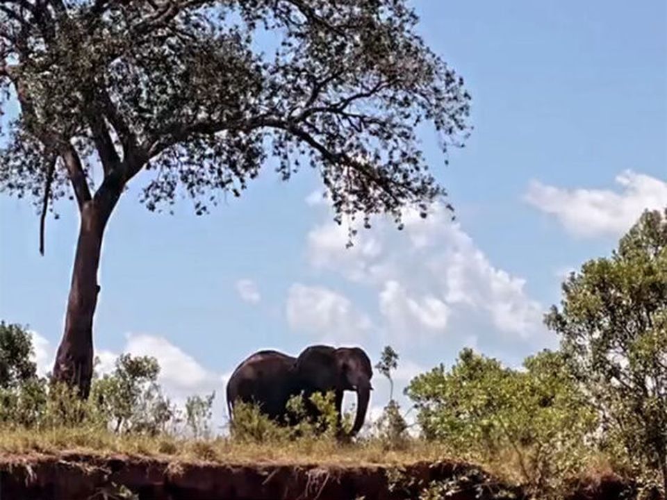 Joanne shared snaps from the safari on her Instagram.
