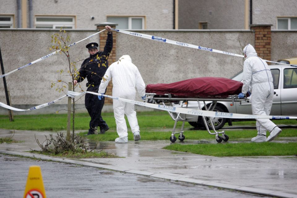 The scene in Kiltearagh, Limerick where Shane Geoghegan was murdered Photo. Brian Arthur/Press 22.