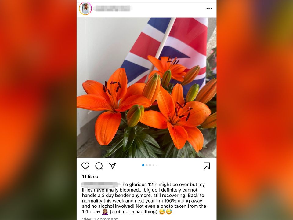 Оранжевые лилии приветствуют посетителей дома Хизер МакКэрролл