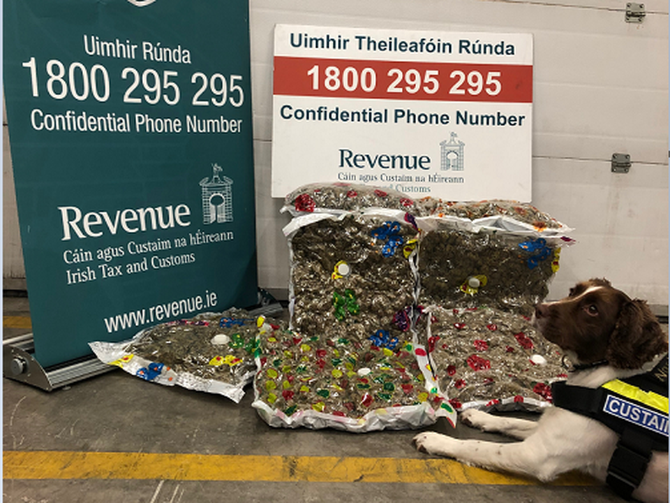 Waffle the detector dog with his discovery. Photo: Revenue
