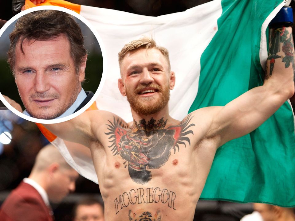 Liam Neeson also took aim at mixed martial arts, comparing it to a bar fight.