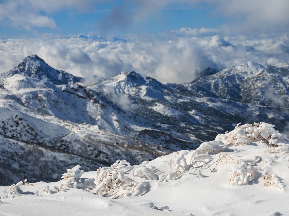Heavy snowfall in the Sierra Nevada National Park, located in the province of Granada, Spain