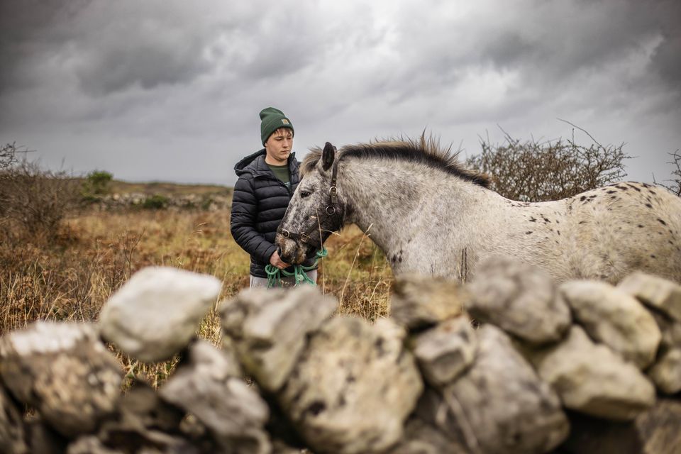 Ciarán Ó Flaithearta with his horse Minnie, who appeared in some key scenes. Photo: Mark Condren