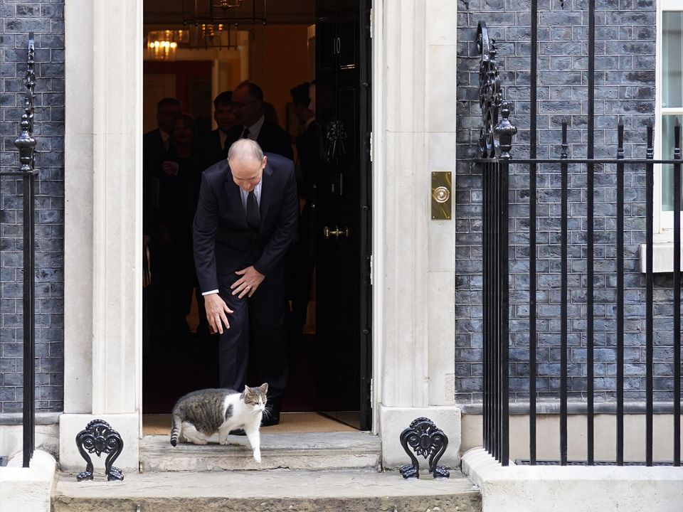 Irish Taoiseach Micheal Martin tries to stroke Larry the cat as he leaves 10 Downing Street in London, following a bilateral meeting with Prime Minister Liz Truss at . Picture date: Sunday September 18, 2022.