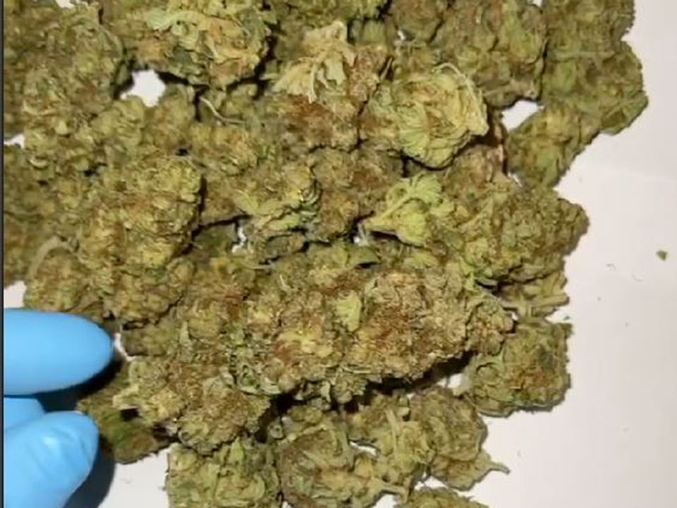 Telegram drugs