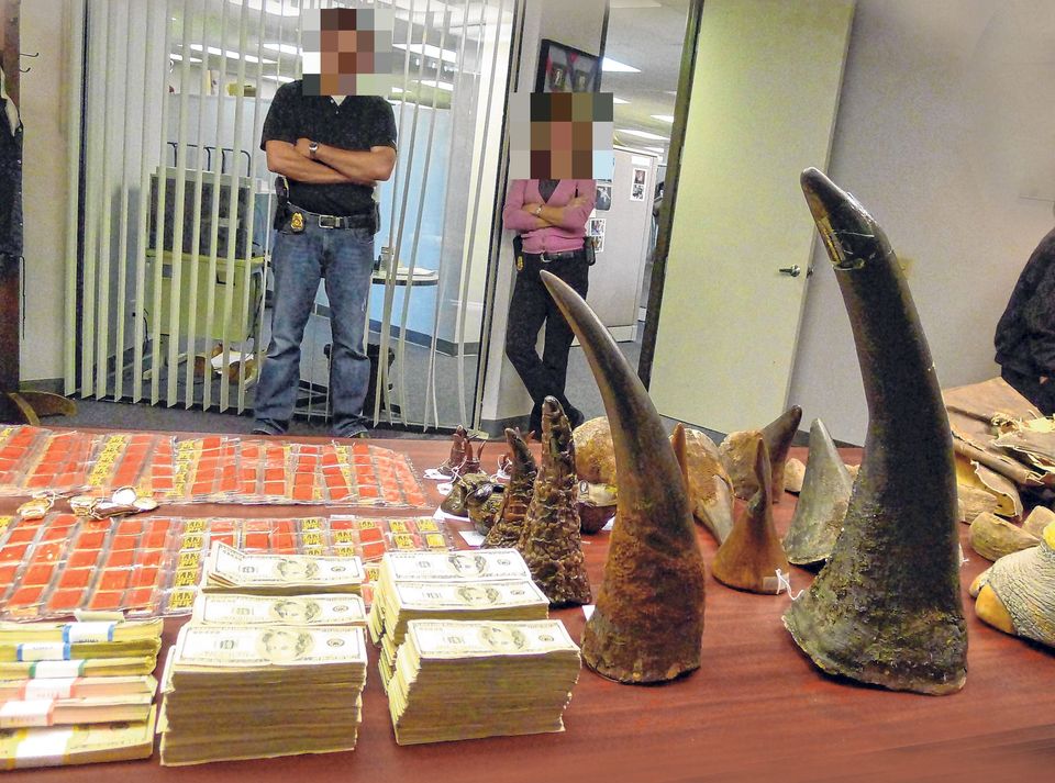 Some of the Dead Zoo items seized by agents in raids