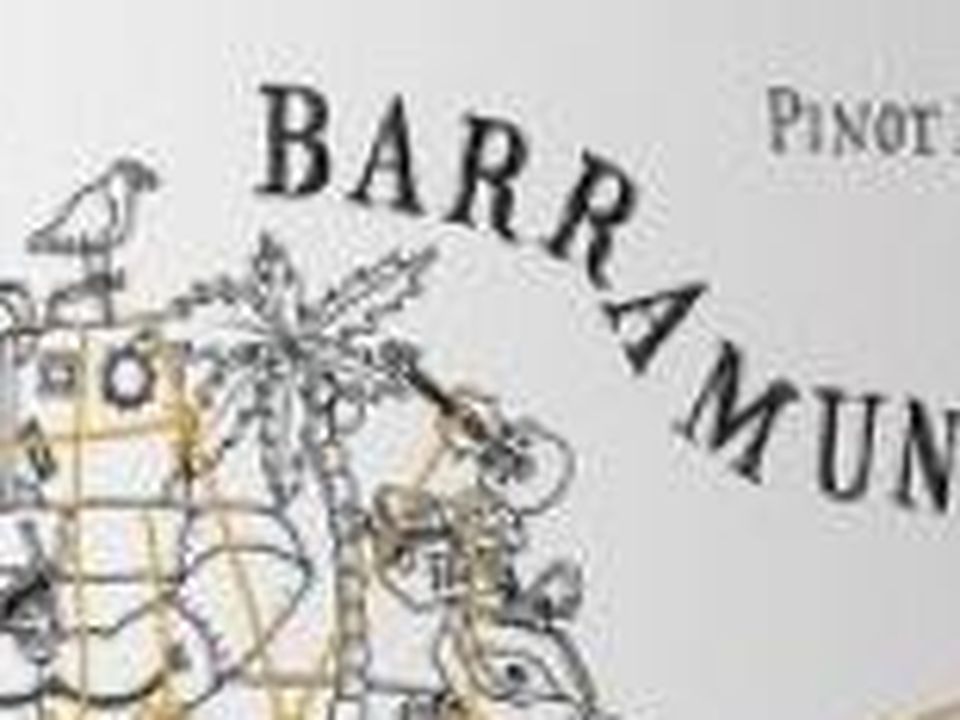 2020 Barramundi Pinot Noir